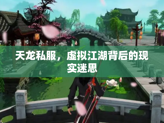天龙私服，虚拟江湖背后的现实迷思