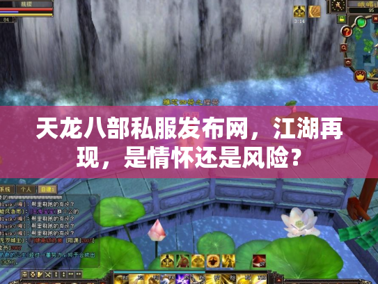 天龙八部私服发布网，江湖再现，是情怀还是风险？