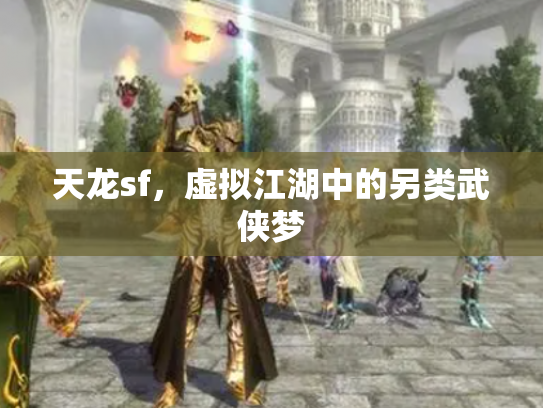 天龙sf，虚拟江湖中的另类武侠梦