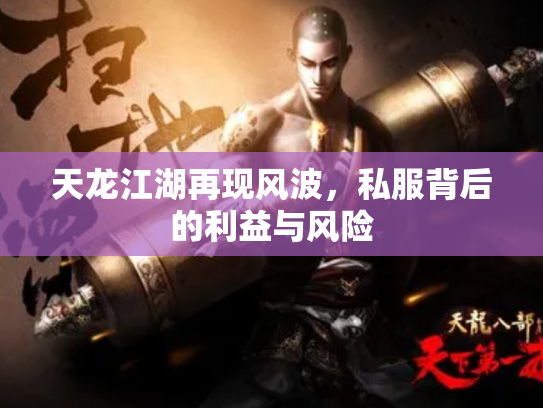 天龙江湖再现风波，私服背后的利益与风险