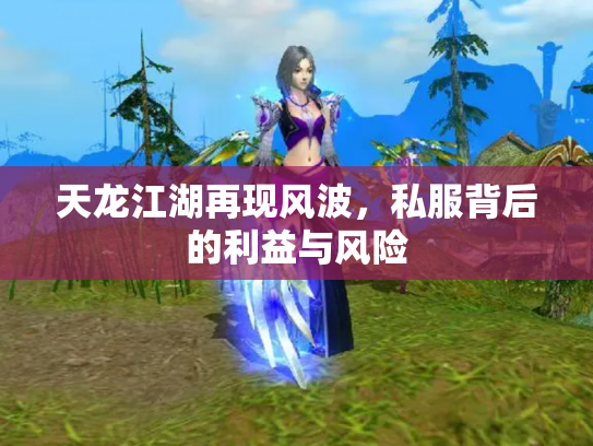 天龙江湖再现风波，私服背后的利益与风险