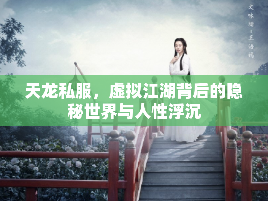 天龙私服，虚拟江湖背后的隐秘世界与人性浮沉