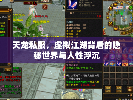 天龙私服，虚拟江湖背后的隐秘世界与人性浮沉