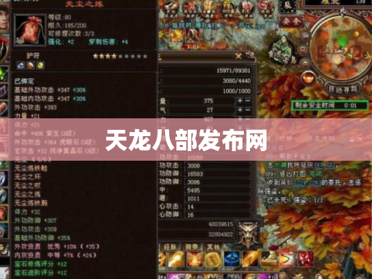 天龙八部发布网