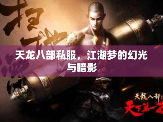 天龙八部私服，江湖梦的幻光与暗影