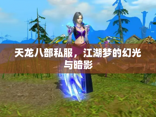 天龙八部私服，江湖梦的幻光与暗影