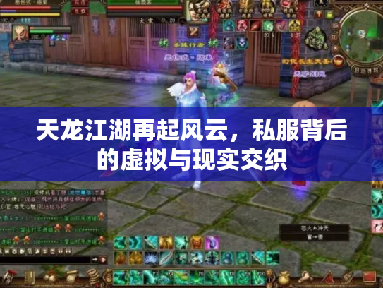 天龙江湖再起风云，私服背后的虚拟与现实交织