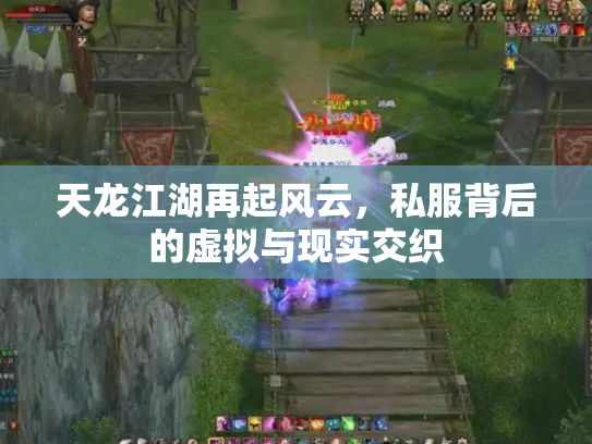天龙江湖再起风云，私服背后的虚拟与现实交织