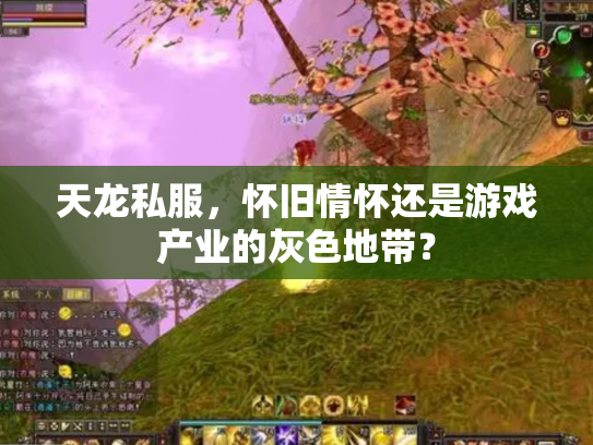 天龙私服，怀旧情怀还是游戏产业的灰色地带？
