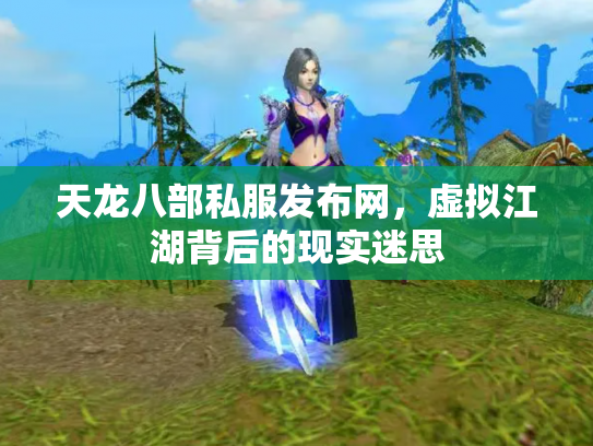 天龙八部私服发布网，虚拟江湖背后的现实迷思