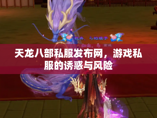 天龙八部私服发布网，游戏私服的诱惑与风险
