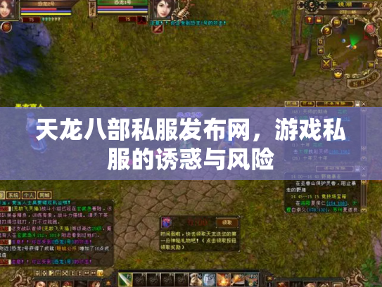 天龙八部私服发布网，游戏私服的诱惑与风险