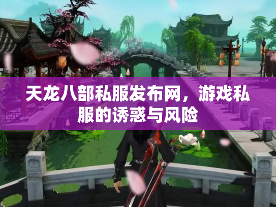天龙八部私服发布网，游戏私服的诱惑与风险