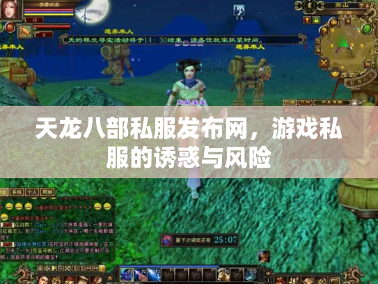 天龙八部私服发布网，游戏私服的诱惑与风险