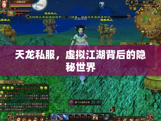 天龙私服，虚拟江湖背后的隐秘世界