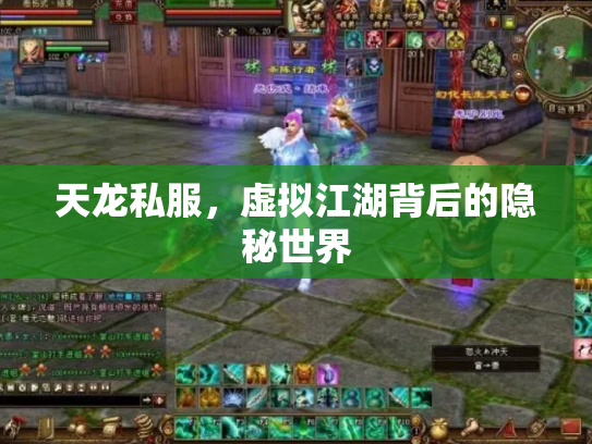 天龙私服，虚拟江湖背后的隐秘世界