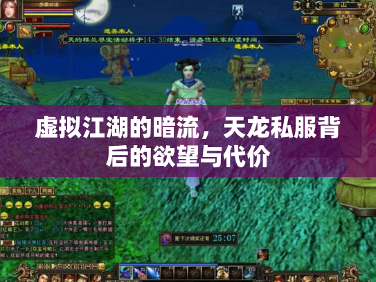 虚拟江湖的暗流，天龙私服背后的欲望与代价