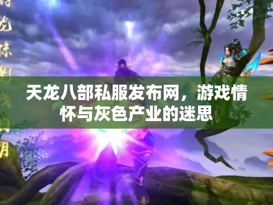 天龙八部私服发布网，游戏情怀与灰色产业的迷思