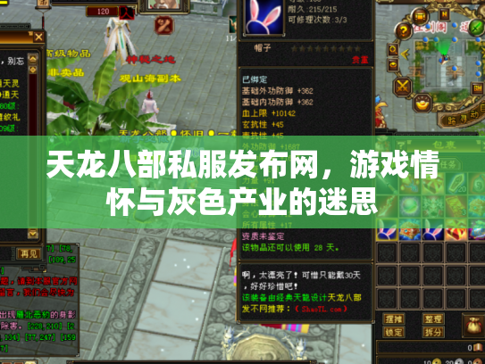 天龙八部私服发布网，游戏情怀与灰色产业的迷思