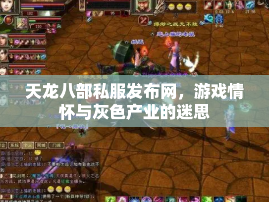 天龙八部私服发布网，游戏情怀与灰色产业的迷思