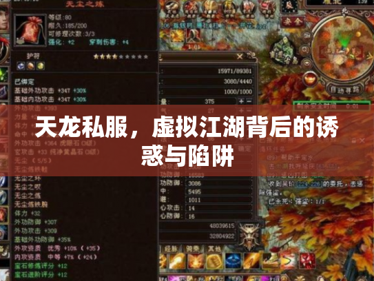天龙私服，虚拟江湖背后的诱惑与陷阱