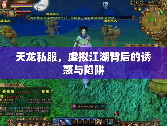 天龙私服，虚拟江湖背后的诱惑与陷阱