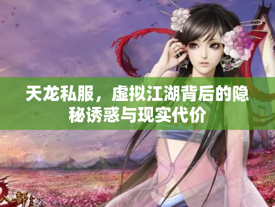 天龙私服，虚拟江湖背后的隐秘诱惑与现实代价