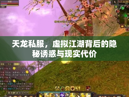 天龙私服，虚拟江湖背后的隐秘诱惑与现实代价