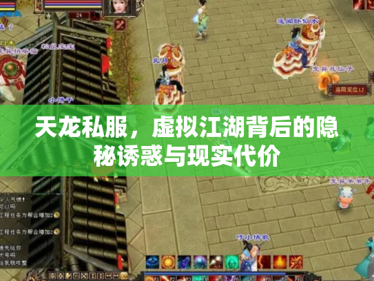 天龙私服，虚拟江湖背后的隐秘诱惑与现实代价
