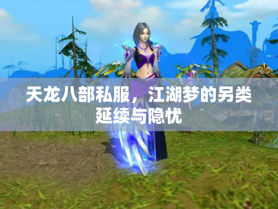 天龙八部私服，江湖梦的另类延续与隐忧