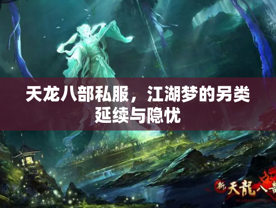 天龙八部私服，江湖梦的另类延续与隐忧