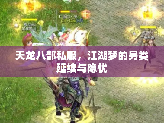 天龙八部私服，江湖梦的另类延续与隐忧