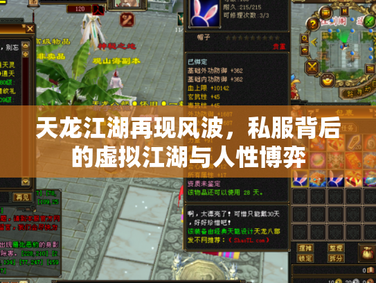 天龙江湖再现风波，私服背后的虚拟江湖与人性博弈
