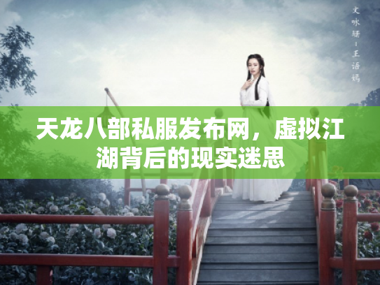 天龙八部私服发布网，虚拟江湖背后的现实迷思