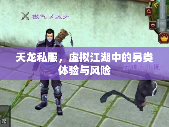 天龙私服，虚拟江湖中的另类体验与风险