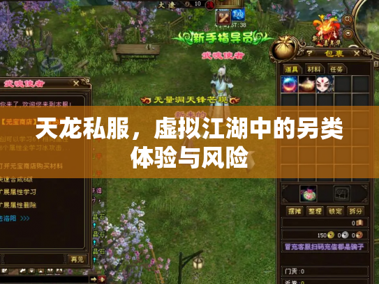 天龙私服，虚拟江湖中的另类体验与风险