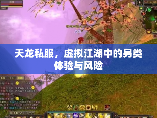 天龙私服，虚拟江湖中的另类体验与风险