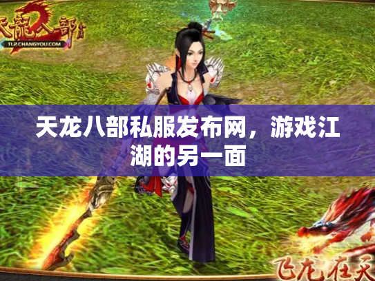天龙八部私服发布网，游戏江湖的另一面
