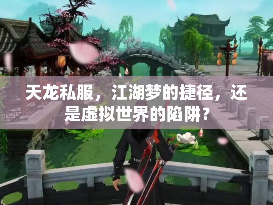 天龙私服，江湖梦的捷径，还是虚拟世界的陷阱？