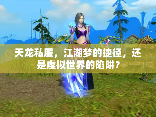 天龙私服，江湖梦的捷径，还是虚拟世界的陷阱？