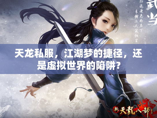 天龙私服，江湖梦的捷径，还是虚拟世界的陷阱？
