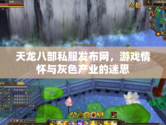 天龙八部私服发布网，游戏情怀与灰色产业的迷思