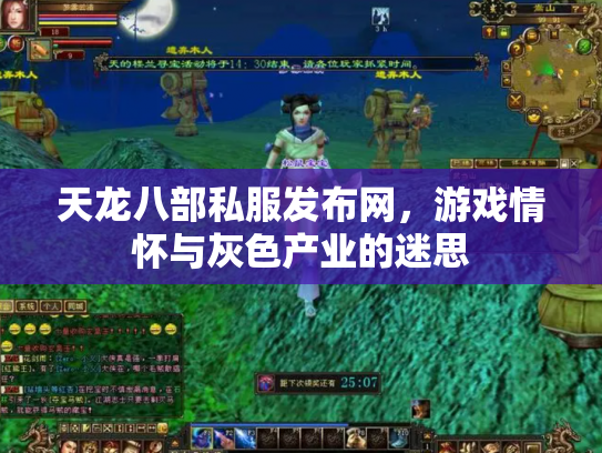 天龙八部私服发布网，游戏情怀与灰色产业的迷思