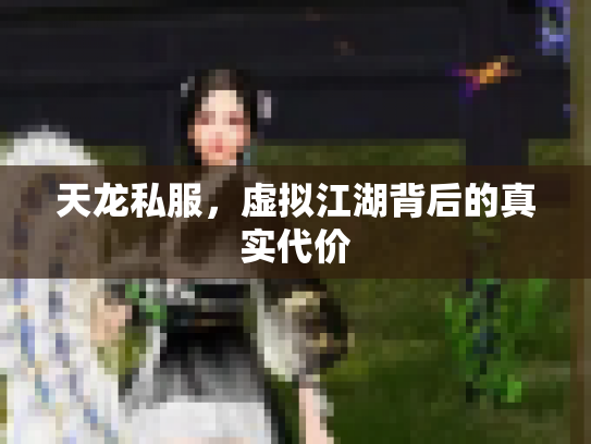 天龙私服，虚拟江湖背后的真实代价