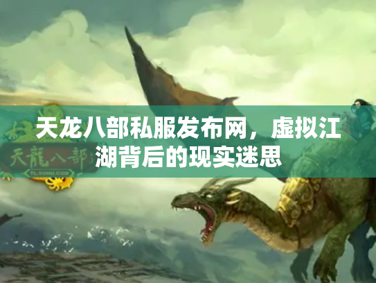 天龙八部私服发布网，虚拟江湖背后的现实迷思