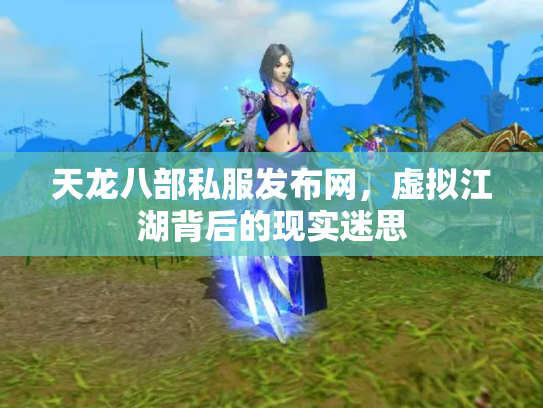 天龙八部私服发布网，虚拟江湖背后的现实迷思