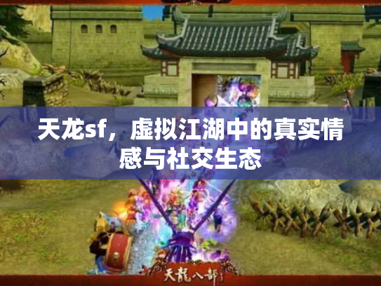 天龙sf，虚拟江湖中的真实情感与社交生态