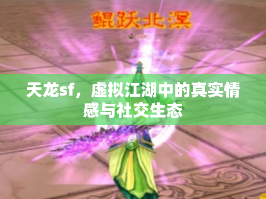 天龙sf，虚拟江湖中的真实情感与社交生态