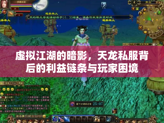 虚拟江湖的暗影，天龙私服背后的利益链条与玩家困境