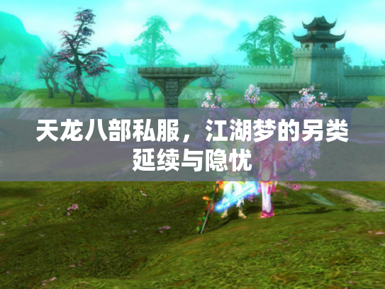 天龙八部私服，江湖梦的另类延续与隐忧